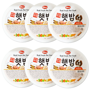 애견비책 햇밥 그레인프리 소고기 120g × 6개